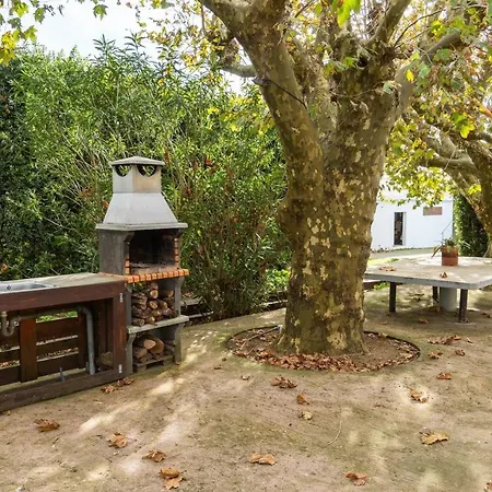 Quinta De Sao Jose Relva (Azores)