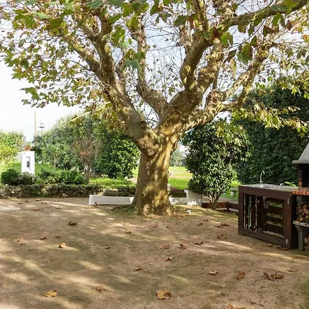 Quinta De Sao Jose Hébergement de vacances *